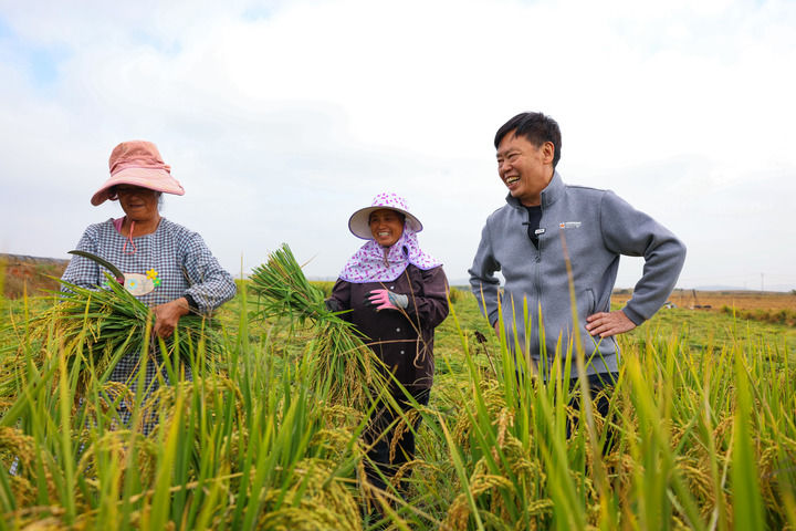 土豆种植最新技术视频_最新土豆种植技术_土豆种植最新技术要求