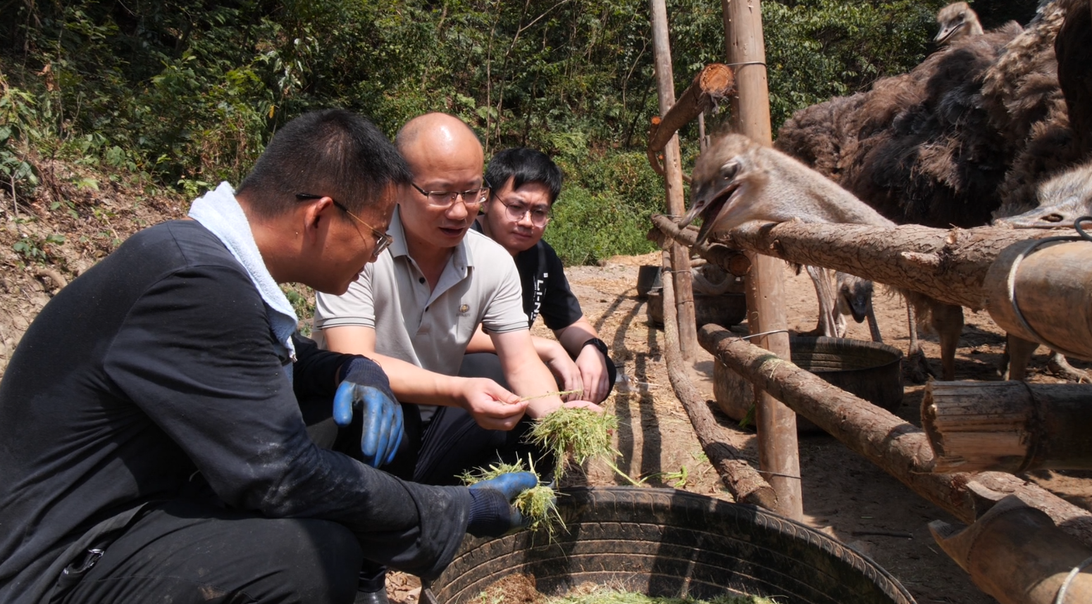 致富养殖政策解读_致富养殖项目_养殖致富政策