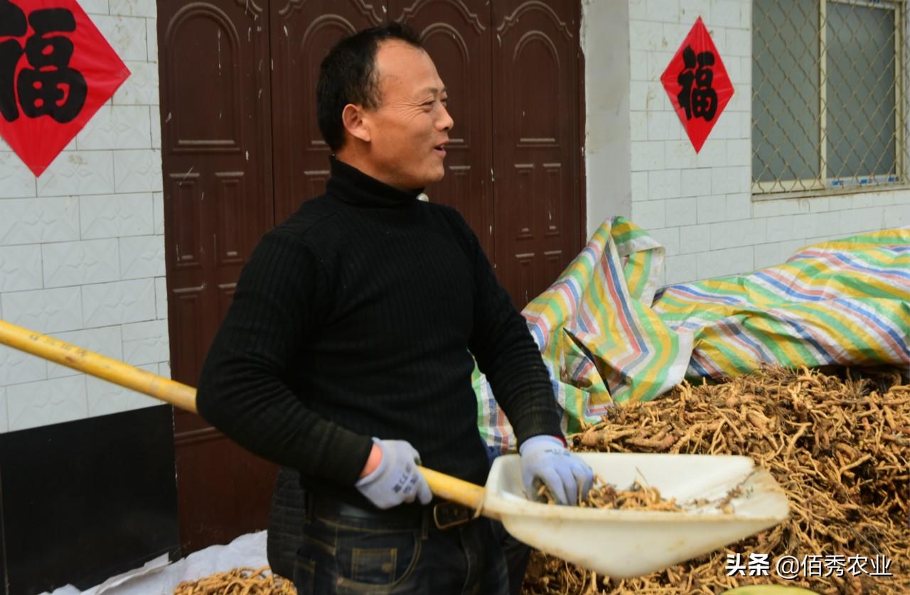 致富种植什么比较赚大钱_致富种植窍门视频_种植致富窍门