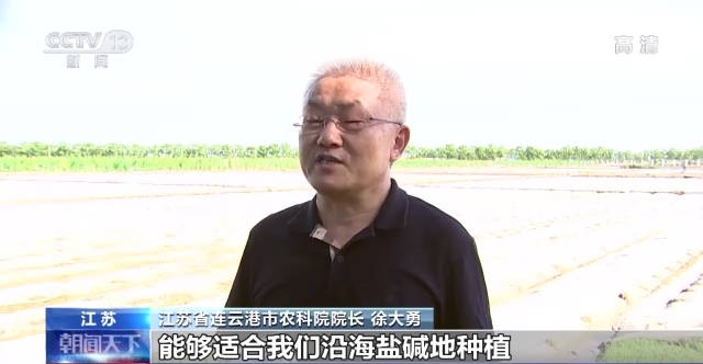 水田种植什么赚钱_致富经水田旱种植高产视频_水田种植什么好利润高