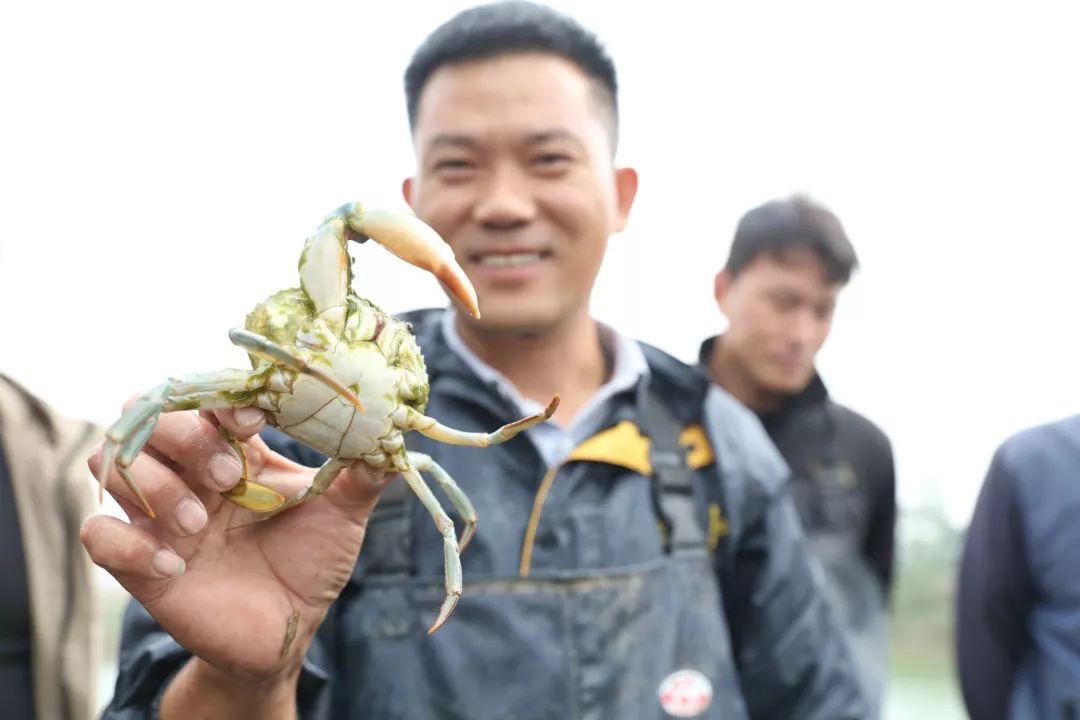 养殖致富榜样_养殖致富带头人先进事迹_养殖致富能手事迹材料