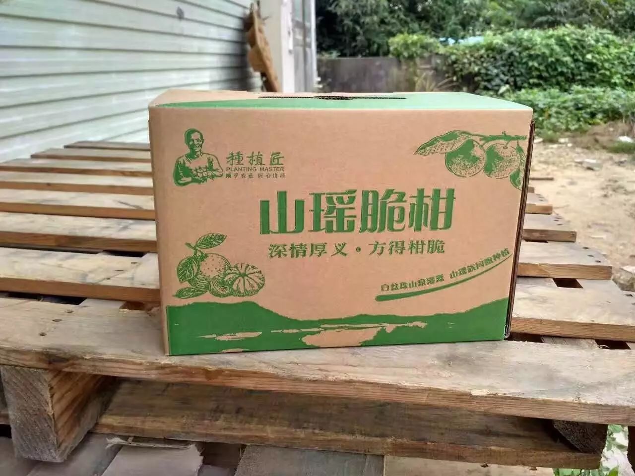 云南致富网_云南大哥种植致富_云南致富带头人