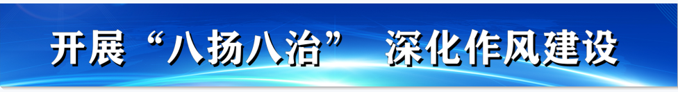 面包虫养殖致富_面包虫养殖技术与利润_面包虫养殖前景