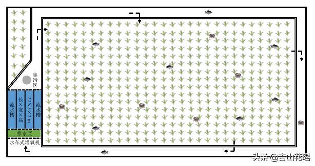 稻田镶嵌流水槽生态循环综合种养技术