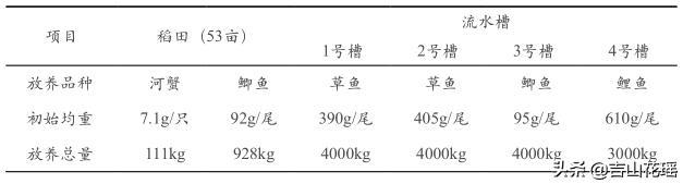 鲫鱼循环水养殖技术_循环水养鱼成本和利润_循环水养殖鱼池