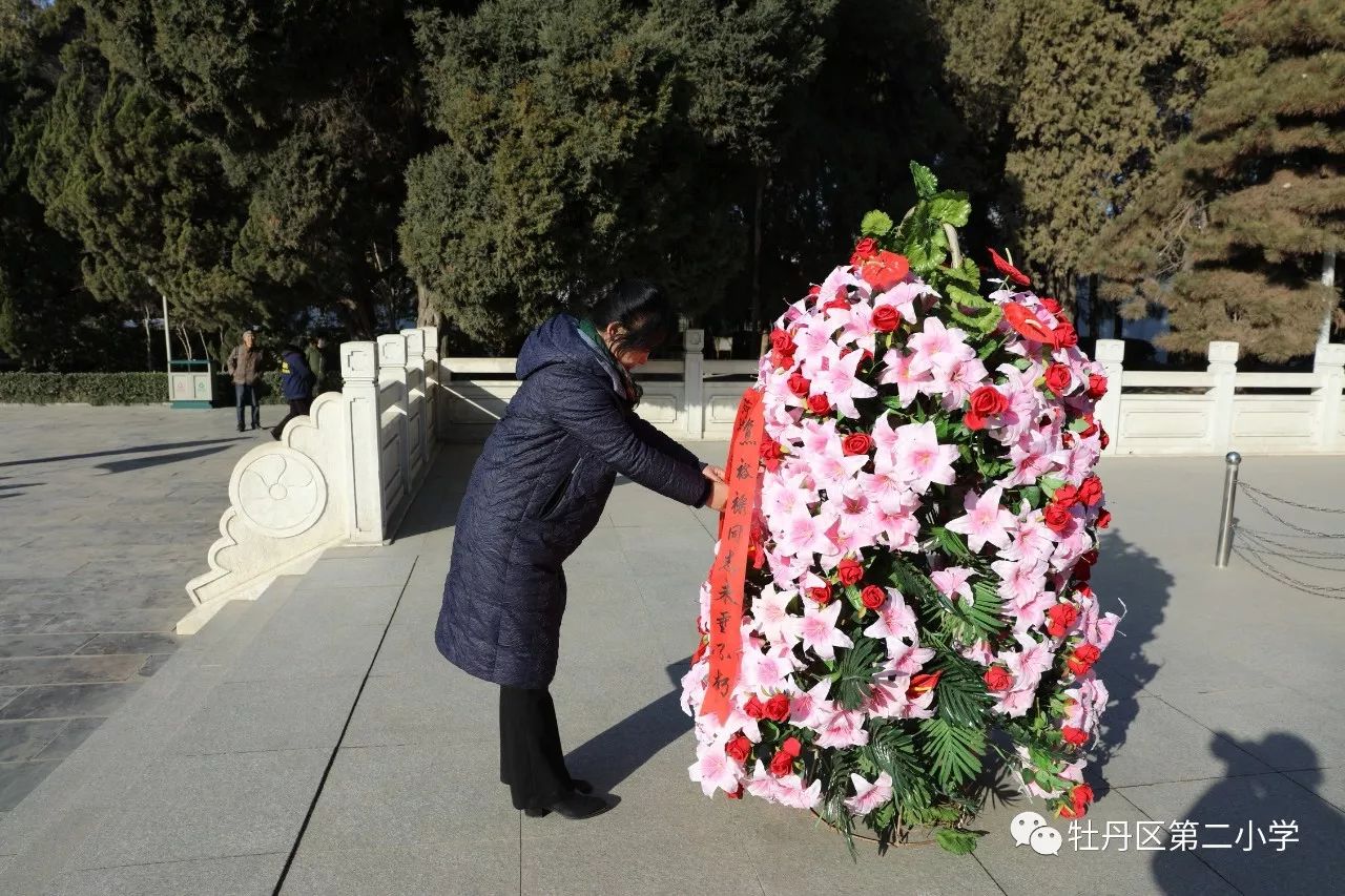 种泡桐赚钱吗_种植泡桐的经济价值_种植泡桐致富