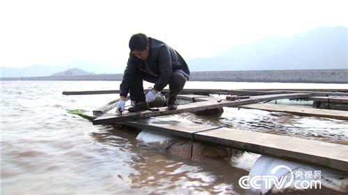 [致富经]西北风吹来的财富(20160316)