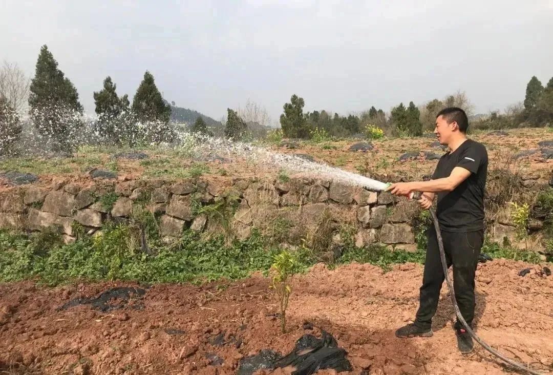 农业种植土豆致富人简介_土豆致富经_土豆致富带头人