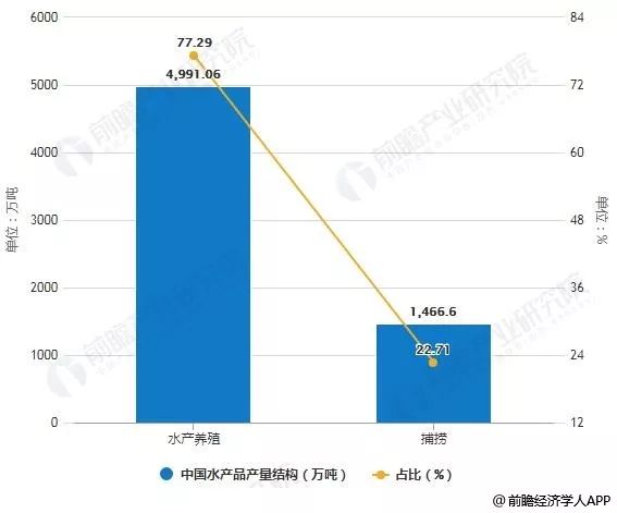 致富经黄鳝养殖技术视频_黄鳝养殖成功案例_小本养殖黄鳝致富