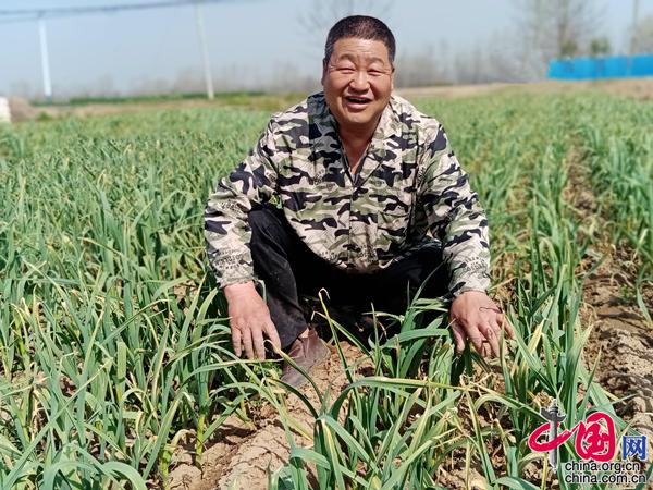 亳州谯城区：打响致富“金蒜盘” 推开农家“致富门”