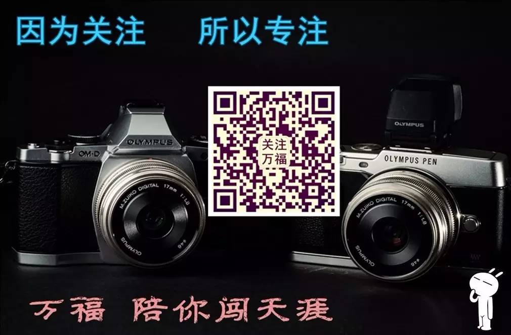 养殖致富新骗局揭秘电话_养殖致富经_养殖致富案例