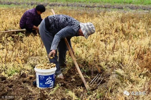 养殖致富经_养殖致富网500元投资_养殖致富新骗局揭秘电话