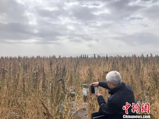 土豆致富经_农业种植土豆致富人简介_致富经土豆种植大户