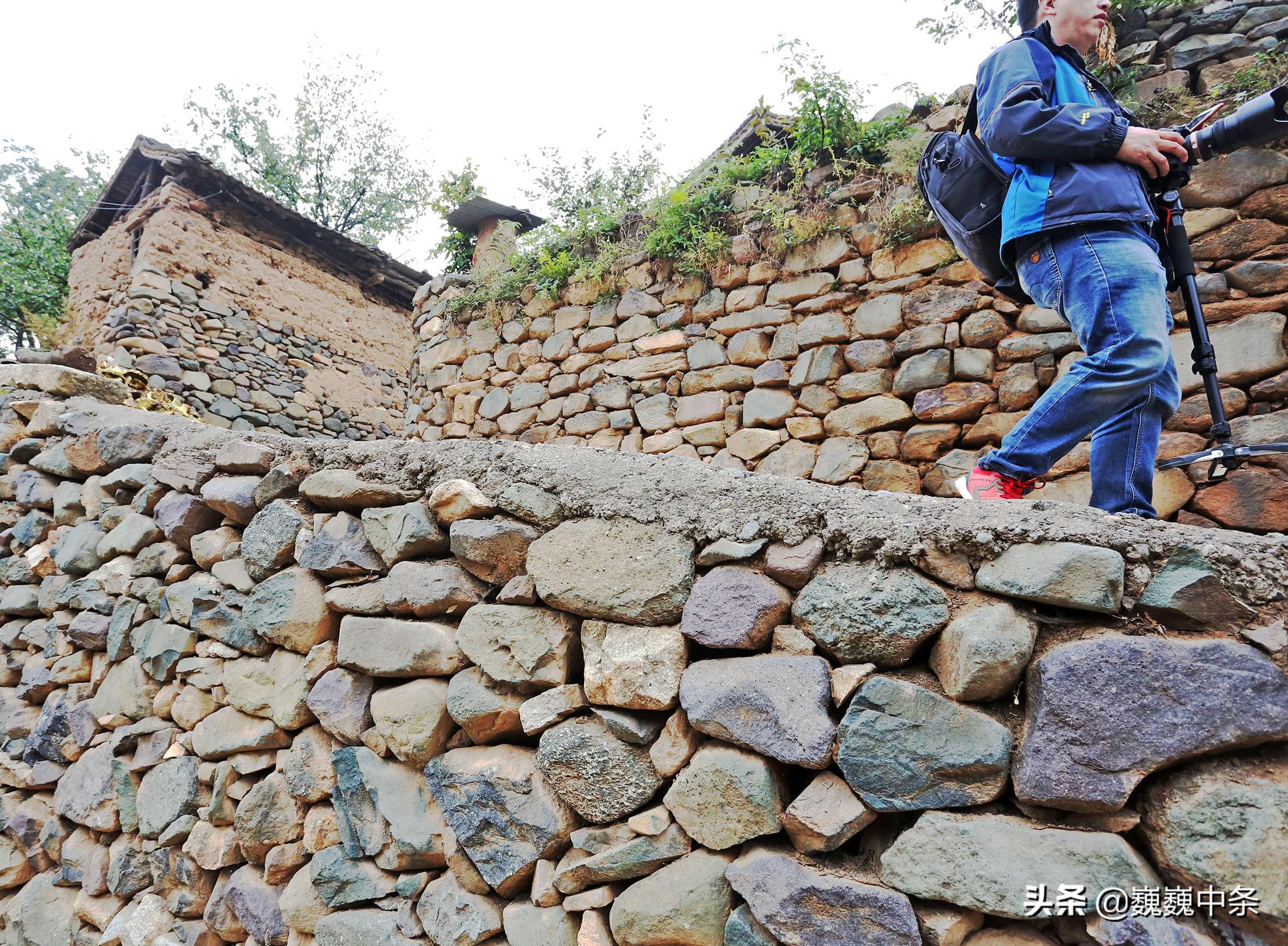 山村7旬大叔靠山吃山，采“野货”养土蜂年入10万，看是啥情况