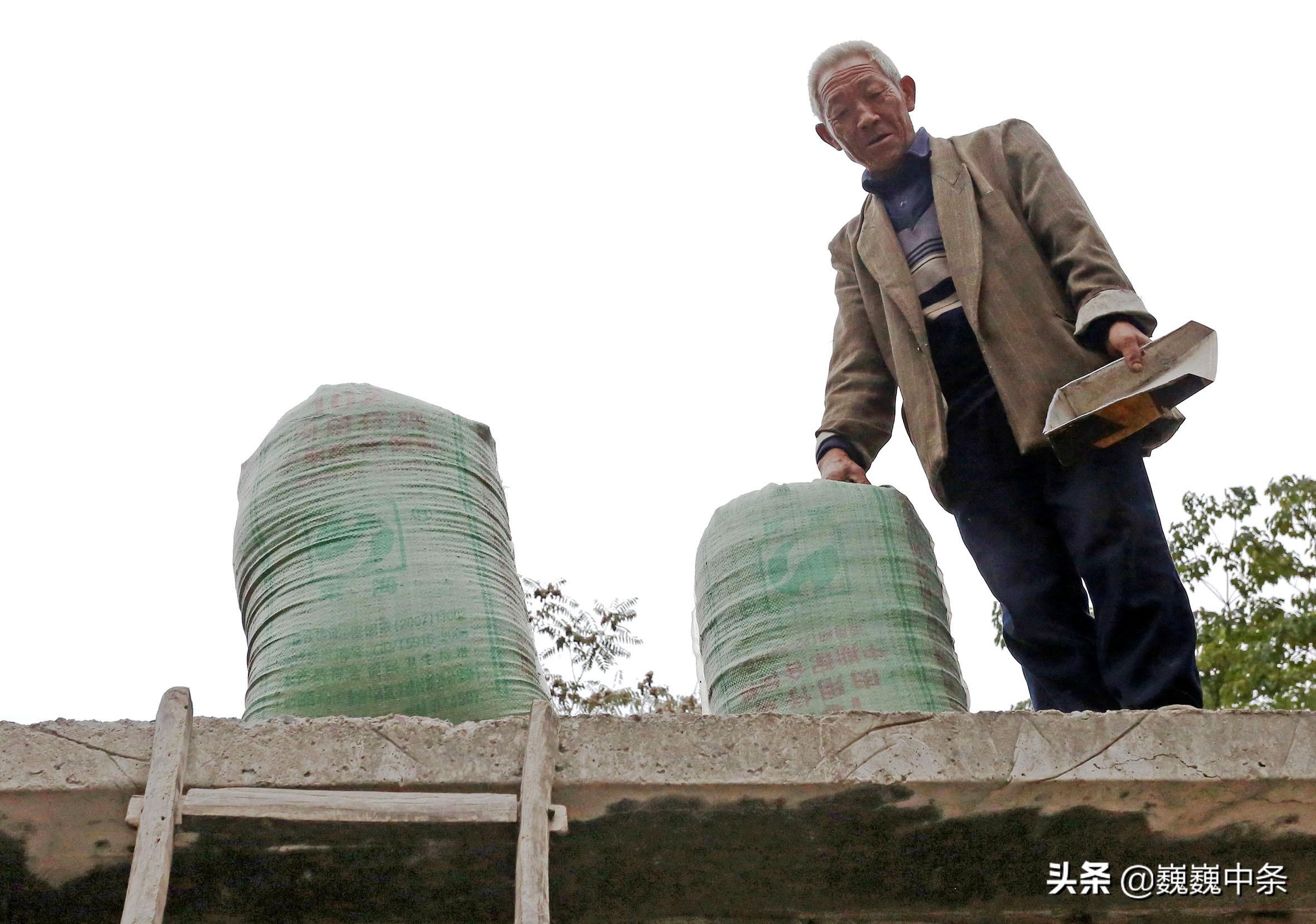 首乌种植致富_种首乌赚钱吗_首乌种植视频