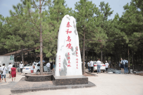 泰和乌鸡好养活吗_泰和乌鸡养殖技术彭建军_泰和乌鸡适合什么环境养