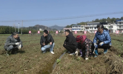 江西省乡村振兴局 市县动态 【上饶】广信区“博士工作站”为乡村振兴装上“智慧引擎