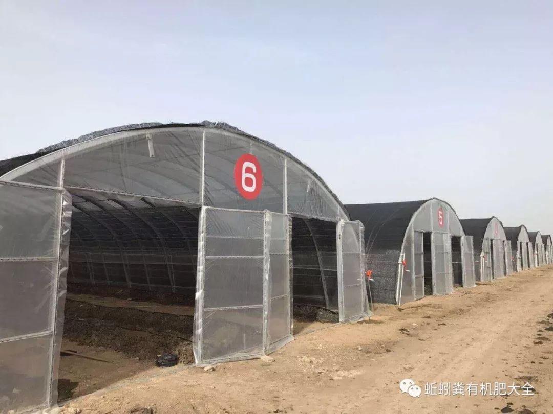 秋引的养殖技术_养秋引用什么原料_如何养秋引