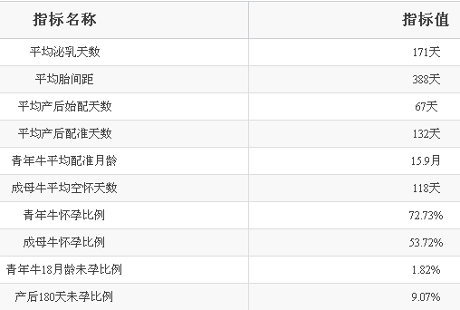 奶牛养殖致富故事_致富养殖奶牛故事视频_致富经养奶牛视频