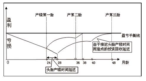 致富养殖奶牛故事视频_奶牛养殖致富故事_致富经养奶牛视频