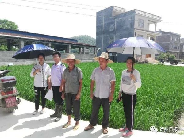 水鸭子养殖致富的故事_致富经鸭子养殖视频_致富经养鸭子视频