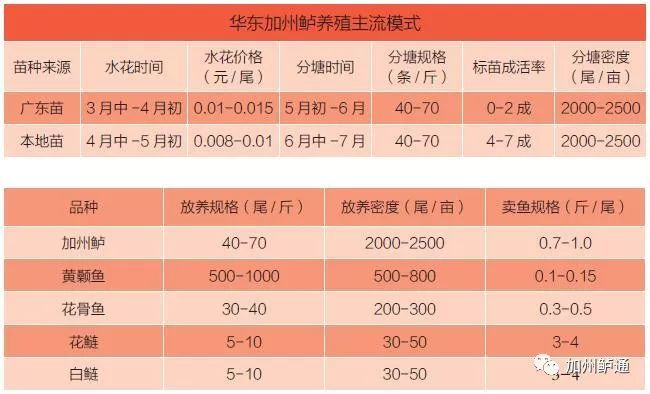 加州鲈水花的养殖技术_加州鲈水花鱼苗技术_加州鲈鱼水花的饲养管理