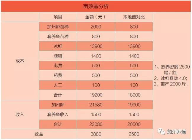 加州鲈鱼水花的饲养管理_加州鲈水花的养殖技术_加州鲈水花鱼苗技术