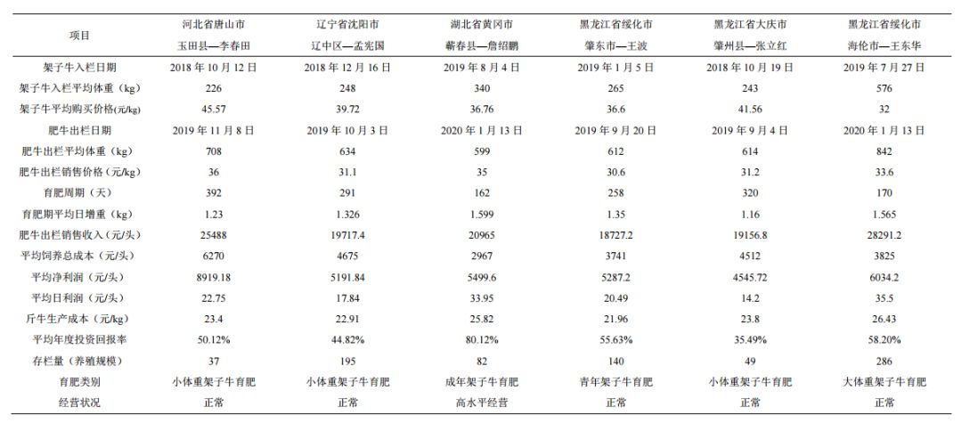 致富经养母牛_母牛养殖致富新闻_新闻致富养殖母牛视频