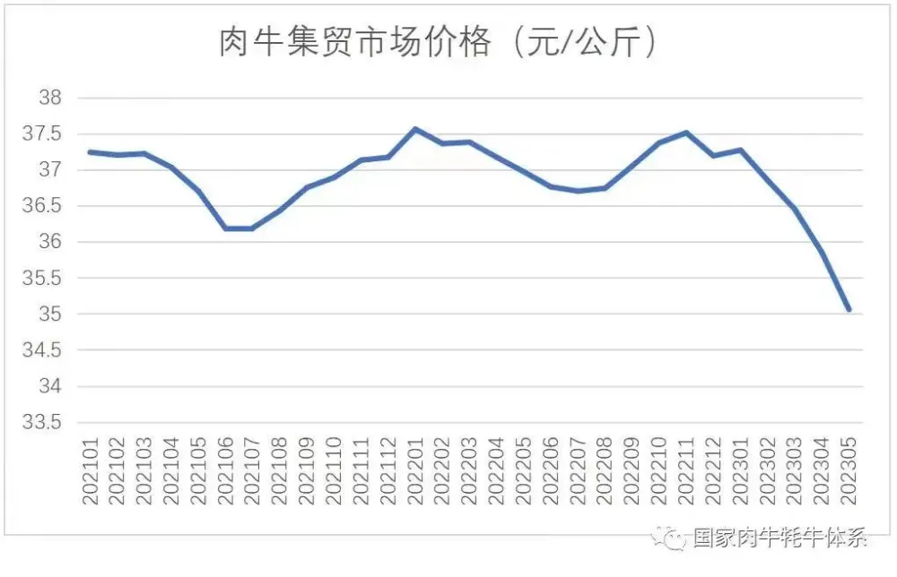 原奶过剩致90万头淘汰奶牛转为肉牛宰杀，然而2023年牛肉供给也超出了市场需求