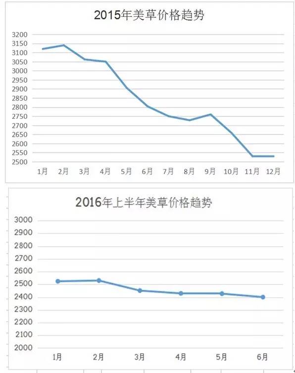 致富种植苜蓿产量_苜蓿种植致富_种苜蓿赚钱吗