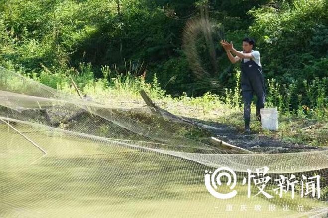 返乡创业办泥鳅养殖场 他自己脱贫，还带领重庆石柱乡亲共同致富