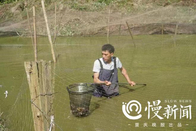 泥鳅养殖农民致富_致富养殖泥鳅农民视频_致富养殖泥鳅农民视频播放