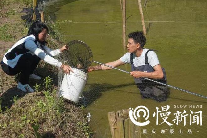 致富养殖泥鳅农民视频播放_泥鳅养殖农民致富_致富养殖泥鳅农民视频