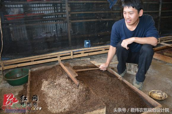 浙江石蛙养殖技术场地_浙江致富经石蛙养殖_致富养殖浙江石蛙视频