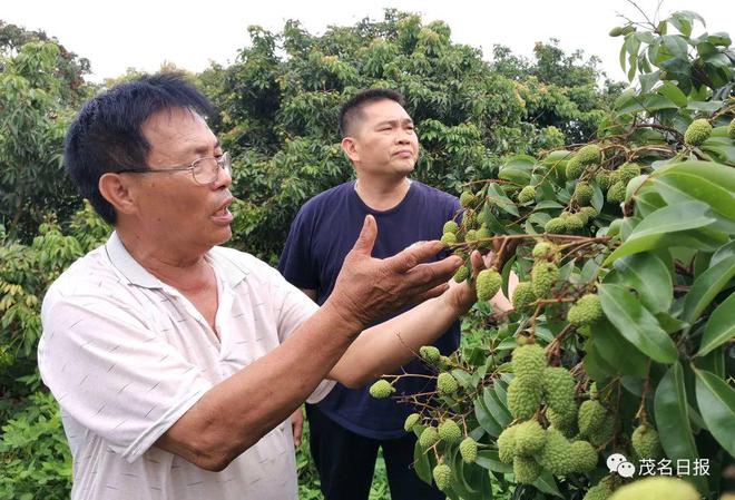 种植致富农村项目大全_种植20亩地致富案例_土地种植致富果