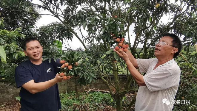 种植致富农村项目大全_土地种植致富果_种植20亩地致富案例