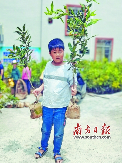 种植20亩地致富案例_种植致富业_土地种植致富果