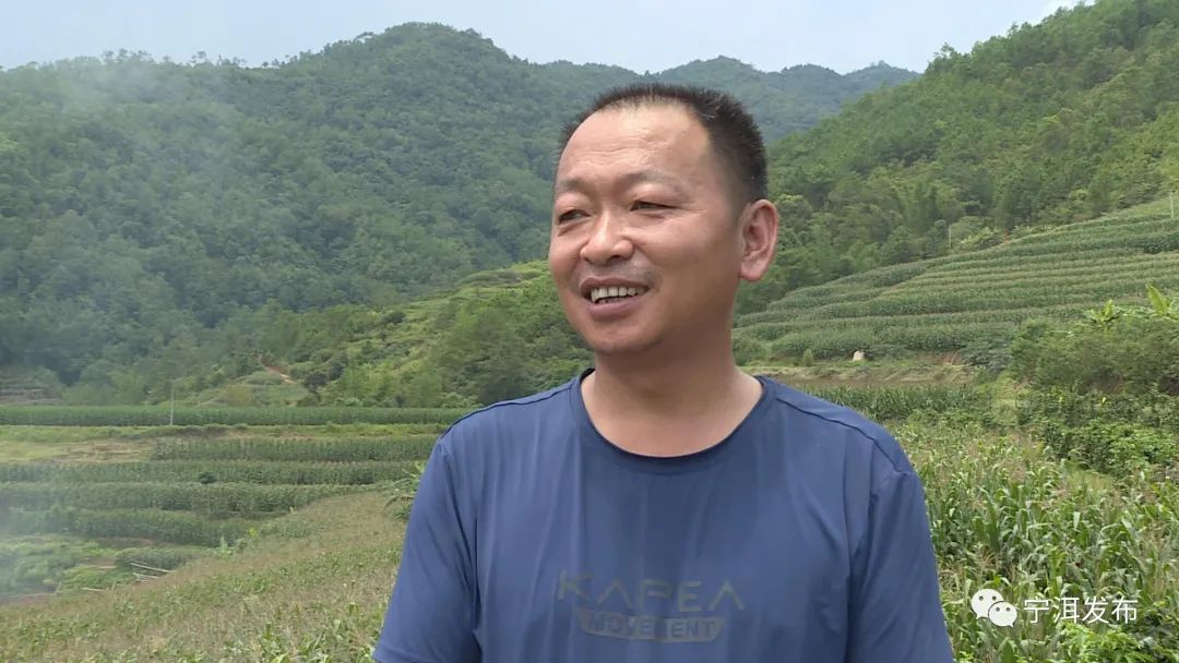 种植鸡蛋视频_种植鸡蛋果技术_鸡蛋果种植致富