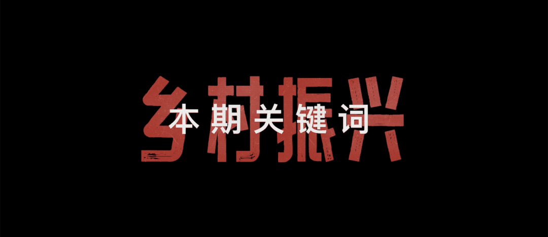 科技特派员答疑解惑，好好谈谈“乡村振兴”这个致富经