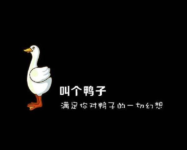 餐饮致富经视频_视频致富经_视频致富餐饮是真的吗