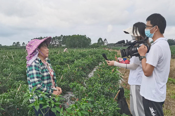 致富经种花椒_致富经种植辣椒_种植指天椒致富