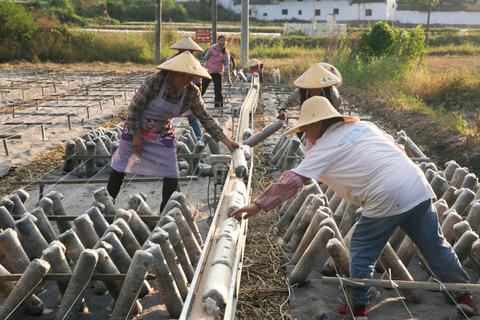 致富经cctv7养鳖_致富经鱼鳖混养视频_致富经养甲鱼视频播放