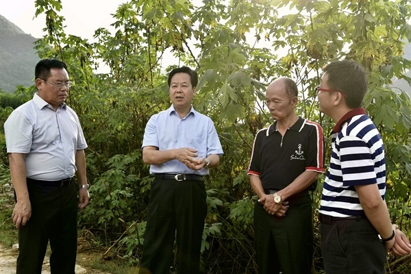 刘有明：打响天等“中国指天椒之乡”品牌