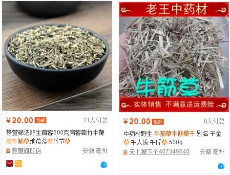 金丝草的价格_金丝草怎么种植方法_金丝草种植致富