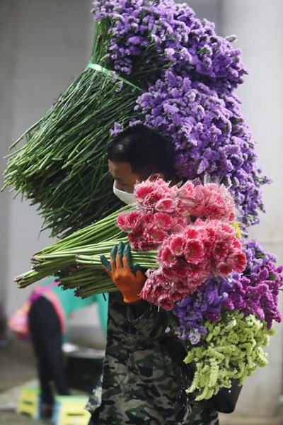 云南种植鲜花_云南种植花卉的有利条件_云南花卉种植致富