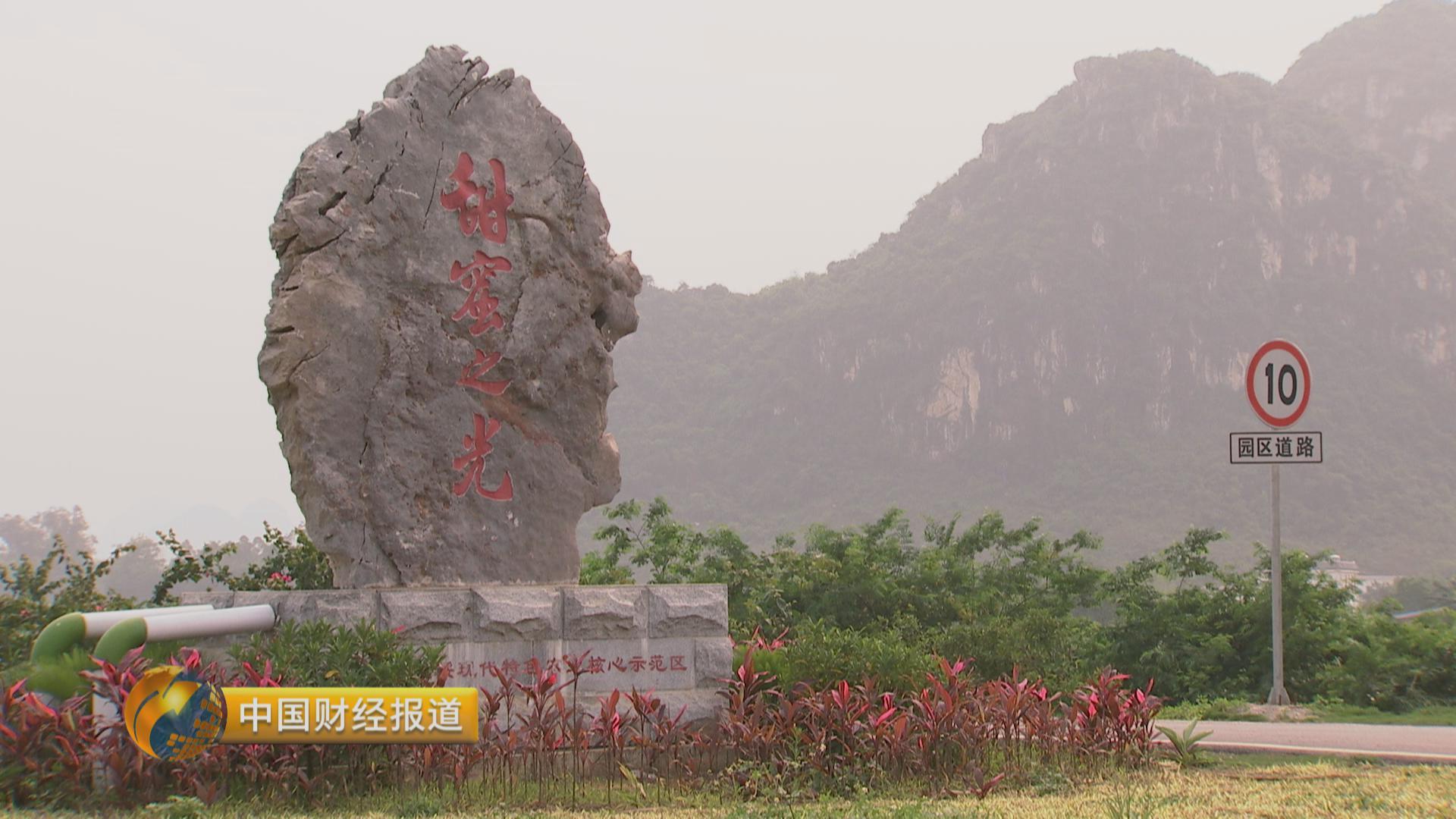 甘蔗种植大户的致富路径_种植甘庶致富_致富经甘蔗种植视频