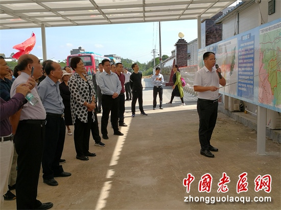 台湾莲雾的功效与作用_种植台湾莲雾致富_台湾莲雾什么时候上市