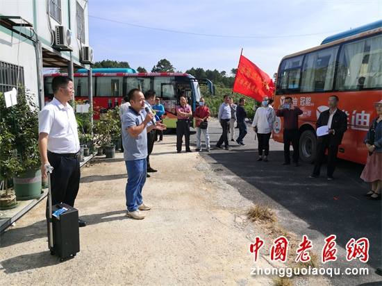 台湾莲雾什么时候上市_种植台湾莲雾致富_台湾莲雾的功效与作用