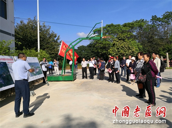 台湾莲雾什么时候上市_种植台湾莲雾致富_台湾莲雾的功效与作用