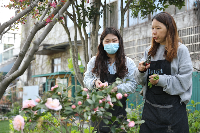 致富经罗子攀详细地址_攀枝花攀北农家烧烤电话_罗登罗攀